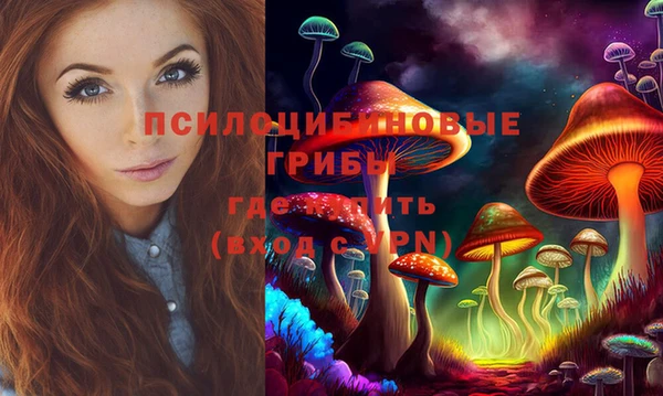 PSILOCYBIN Балабаново