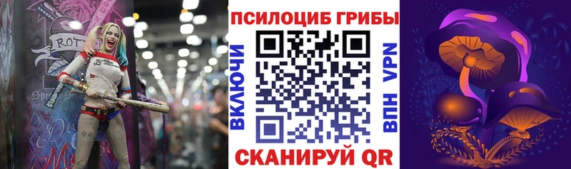площадка наркотические препараты  Козельск  ссылка на мегу маркетплейс  Галлюциногенные грибы прущие грибы  где купить наркоту 